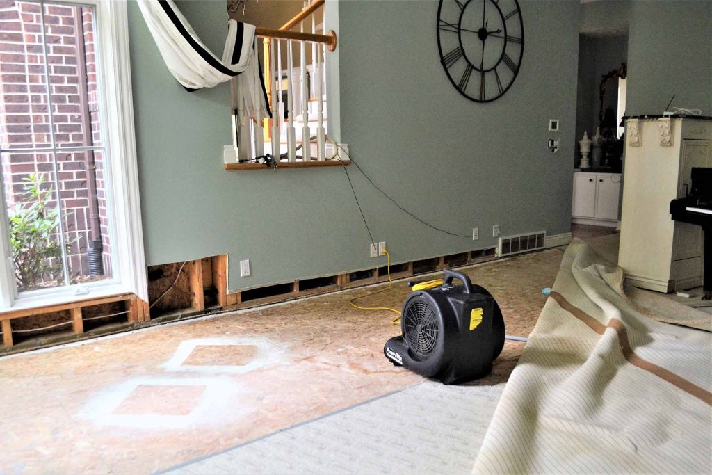 How Do You Prevent Water Damage in Your Home?